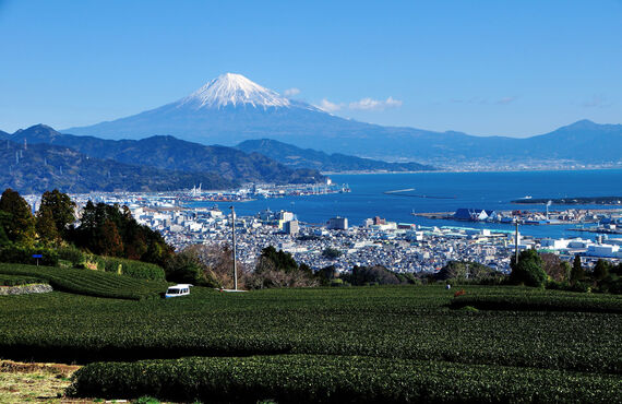 海沿いの静岡で環境に合う出店が実施できるように企画・制作します | 移動販売車のレンタルなら株式会社森の贈り物
